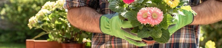 Alegra tu vida con flores - La jardinería mejora tu salud física y mental