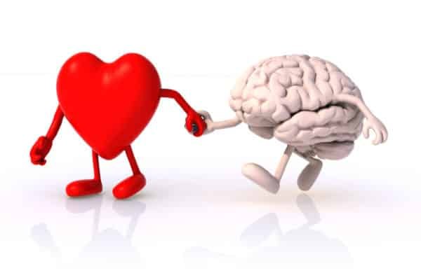Lo que es bueno para el corazón es bueno para el cerebro también